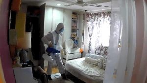 Disinfectant Companies Temple City Ca