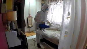 Fogging Services La Canada Flintridge Ca