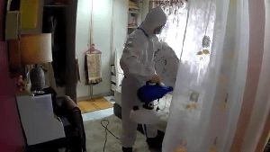 Fogging Services Capistrano Beach Ca