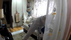 Sanitizing Services Cathedral City Ca