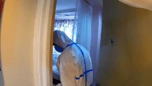 Fogging Services Costa Mesa Ca