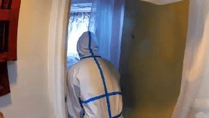 Disinfection Services Culver City Ca