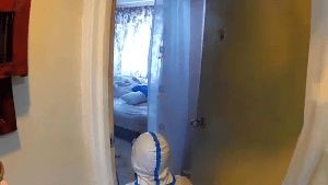 Electrostatic Services Dana Point Ca