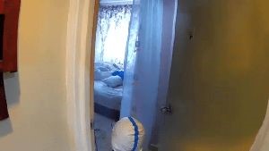 Fogging Services Dana Point Ca