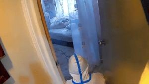 Fogging Services Foothill Ranch Ca