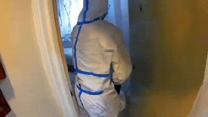 Fogging Services Forest Falls Ca