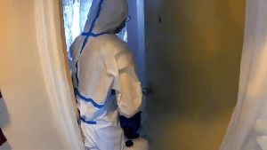 Sanitizing Services Forest Falls Ca