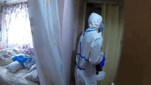 Fogging Services Grand Terrace Ca