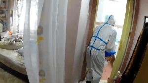 Fogging Services Long Beach Ca