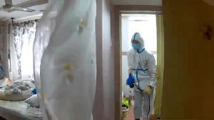 Fogging Services Pico Rivera Ca