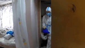 Disinfection Services Running Springs Ca