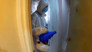 Fogging Services San Juan Capistrano Ca