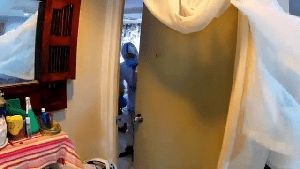 Fogging Services Signal Hill Ca