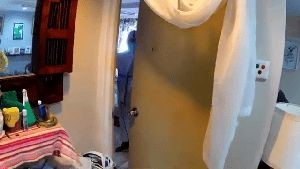 Fogging Services Sun City Ca