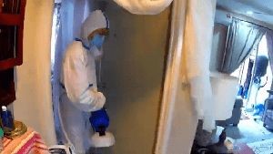 Fogging Services Temple City Ca