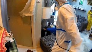 Fogging Services Trabuco Canyon Ca