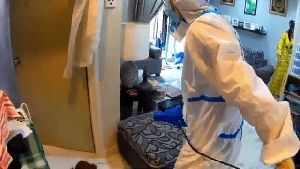 Sanitizing Services Trabuco Canyon Ca