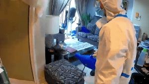 Electrostatic Services Westlake Village Ca