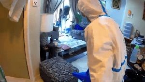 Fogging Services Westlake Village Ca