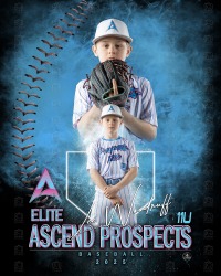 AP Elite Baseball