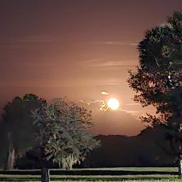 e2cb16845292fa4512b9564319b07dc2.jpg
