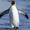 Mason   Chadwick🐧🐧
