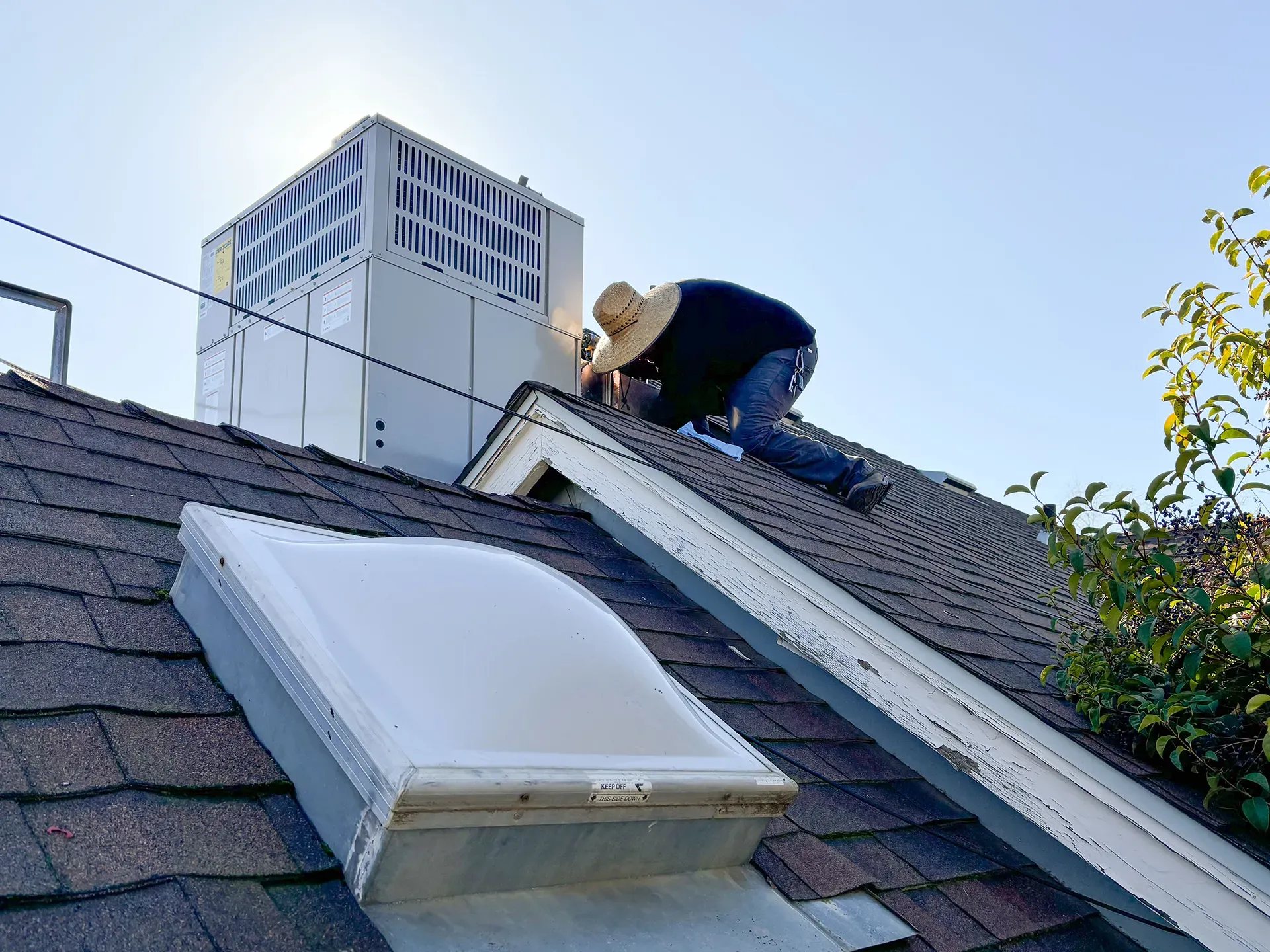 Technician working on a rooftop HVAC unit, wearing a hat, near a skylight and foliage. Technician working on a rooftop HVAC unit, wearing a hat, near a skylight and foliage.