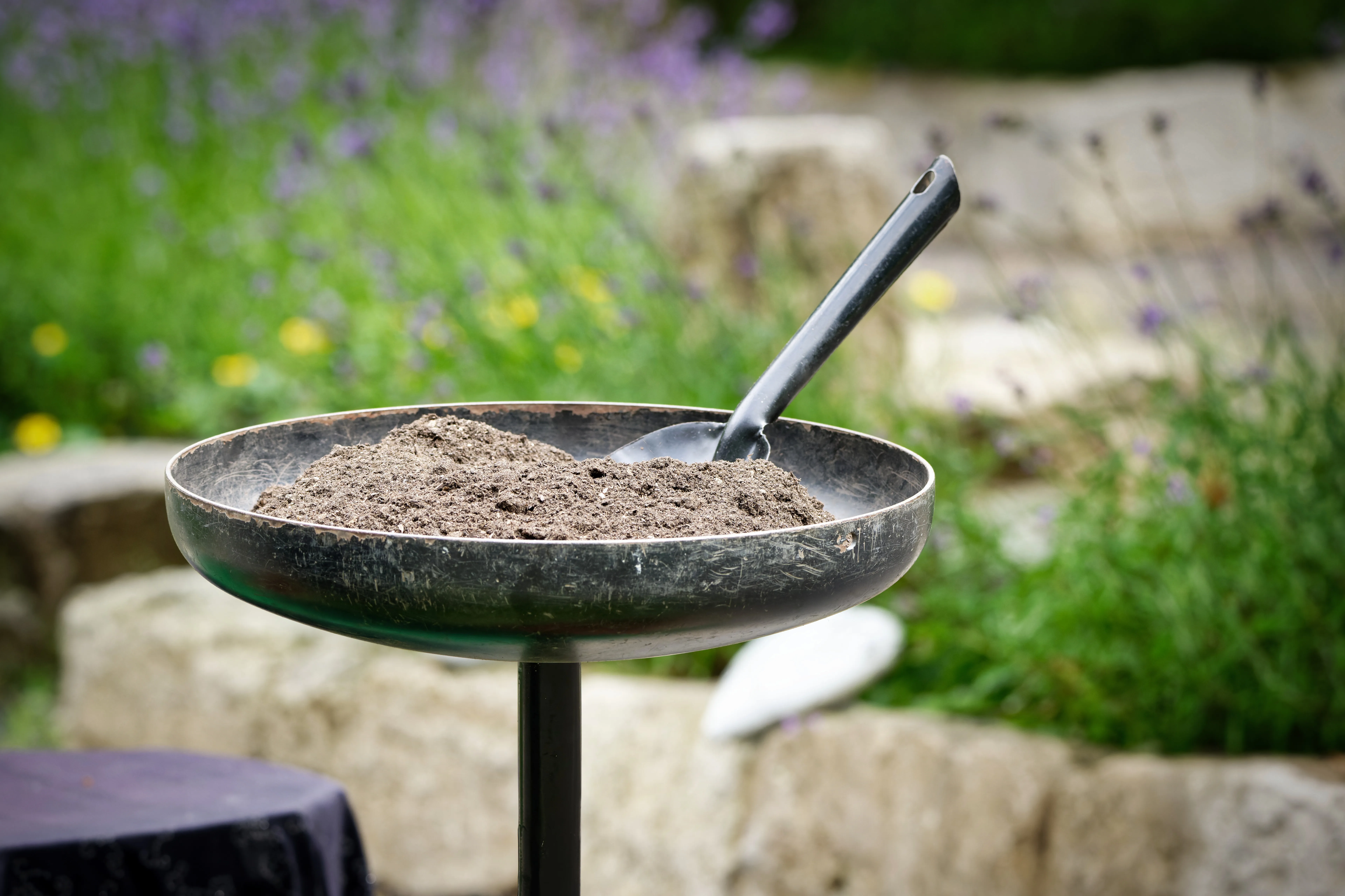 Eco-Friendly Burial Options