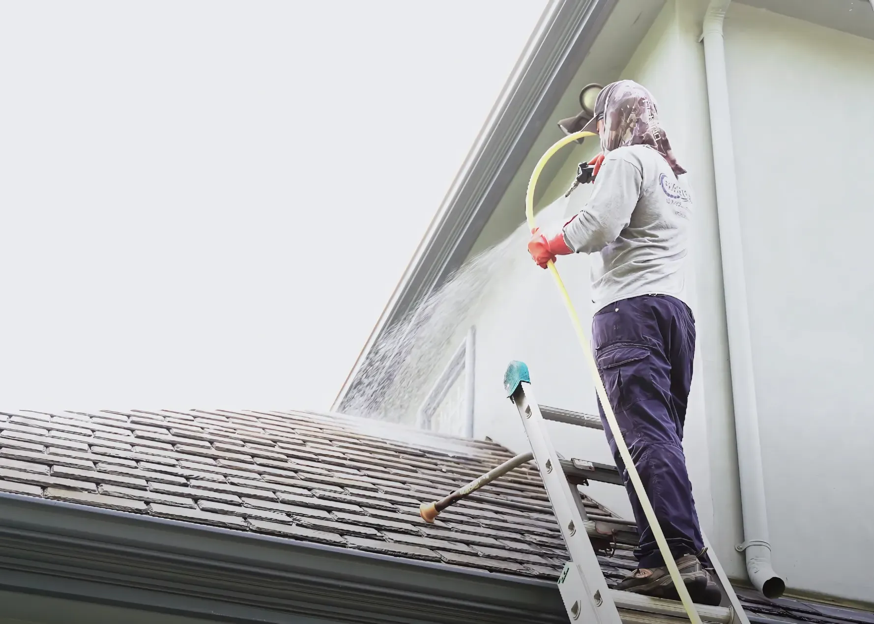 A worker on a ladder using a hose to clean a house roof, wearing protective gloves and headgear, with water spraying onto the shingles. A worker on a ladder using a hose to clean a house roof, wearing protective gloves and headgear, with water spraying onto the shingles.