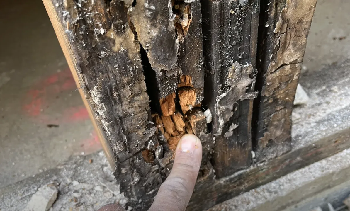  Close-up of a finger pointing at a severely rotted wooden beam with visible decay and damage.