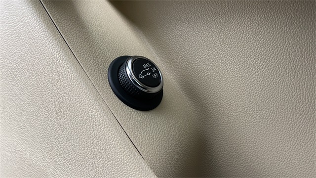 Used 2019 Gray Cadillac Luxury image 12