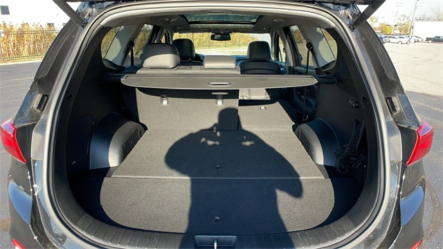 Used 2019 Black Hyundai Ultimate 2.4 image 42