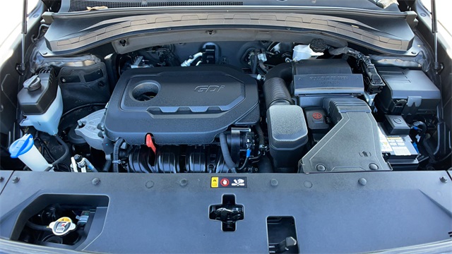 Used 2019 Black Hyundai Ultimate 2.4 image 50