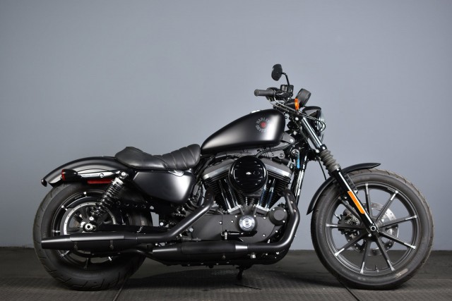 Certified Pre-Owned 2022 Harley-Davidson Sportster Iron 883 XL883N