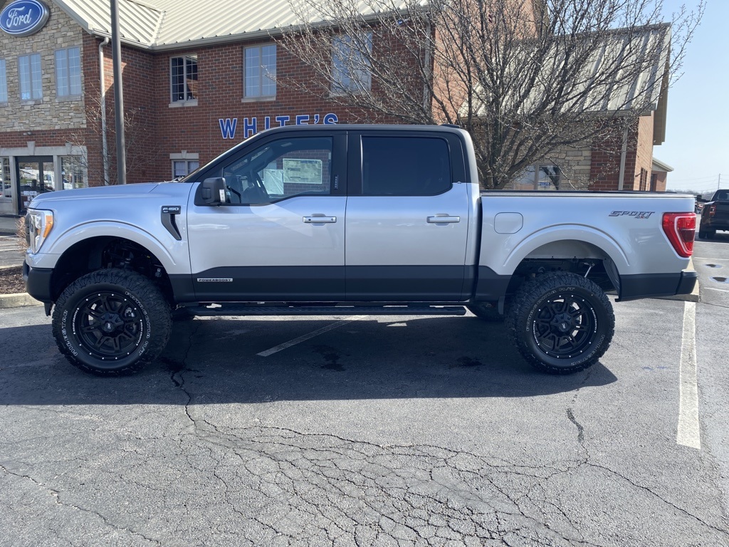 New 2023 Ford F150 XLT SuperCrew® in Orrville 23080 White's Ford on 57