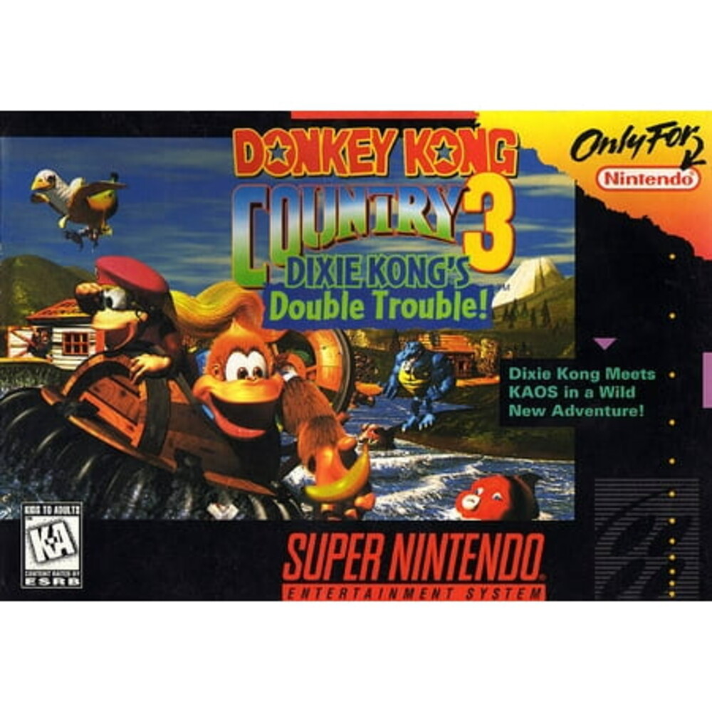 Donkey Kong Country 3 | Nintendo SNES