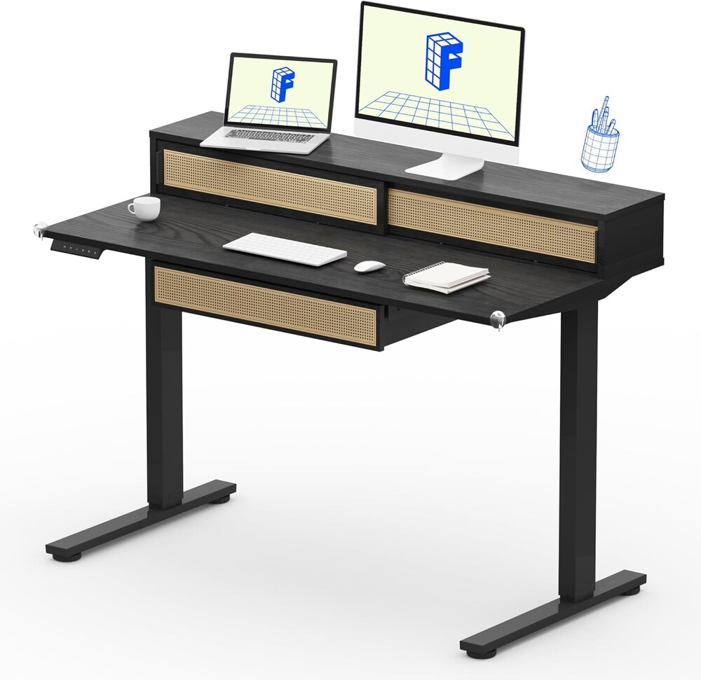 FLEXISPOT Q4 One-Piece Standing Desk with Rattan Drawers, 48 x 24 Inch Adjustable Height, Electric Stand Up Table with Monitor Shelf, Home Office Ergonomic Computer Desk with Memory Presets, Black