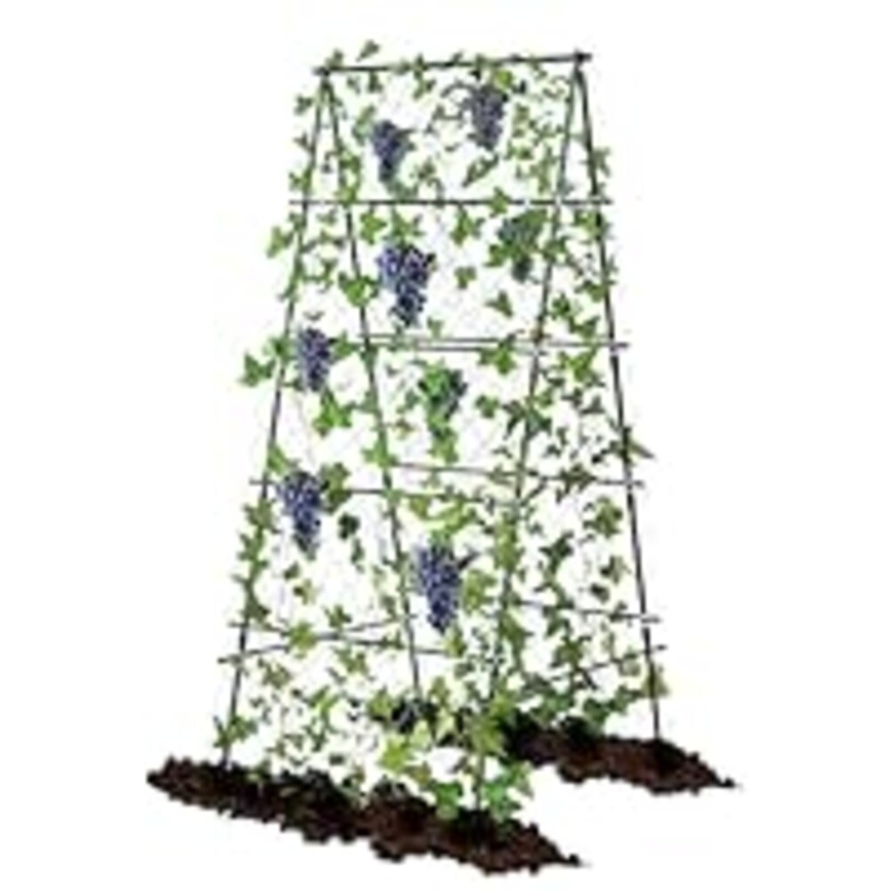 AlisisFores Garden Trellis for Climbing Plants, A-Shape Garden Plant Support Frame for Raised Bed Vegetables, Provides Support for Beans, Tomatoes and Cucumber, Black