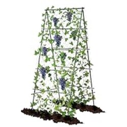 AlisisFores Garden Trellis for Climbing Plants, A-Shape Garden Plant Support Frame for Raised Bed Vegetables, Provides Support for Beans, Tomatoes and Cucumber, Black