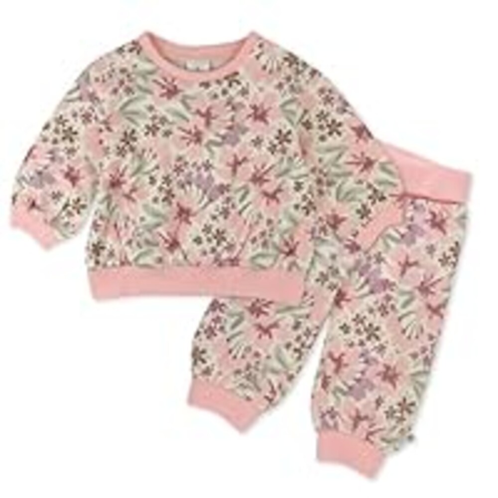 HonestBaby Baby-Girls 2-Piece Crewneck Sweatshirt and Sweatpant Set 100% Organic Cotton for Toddler, Baby Girls, Painted Floral Pink, Newborn