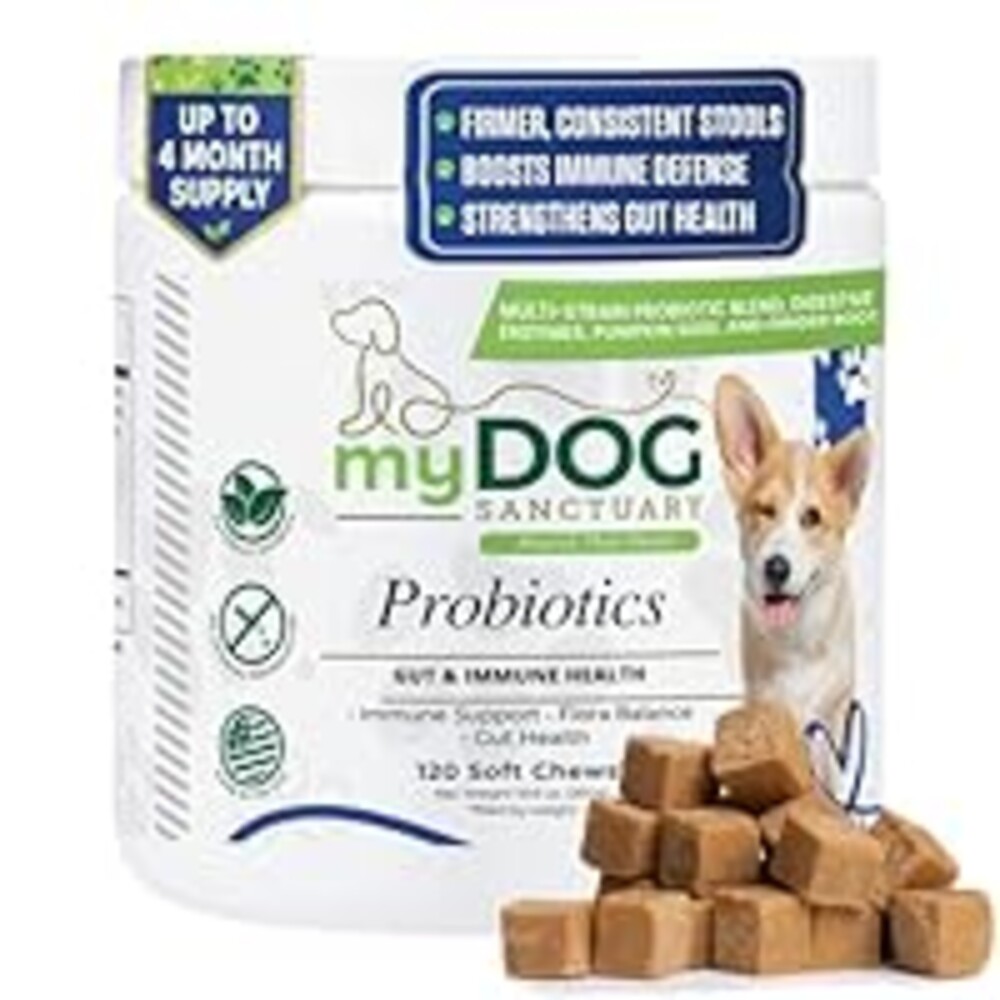 My Dog Sanctuary Probiotics for Dogs 120 Chews - Digestive Enzymes & Gut Health Support with Pumpkin Seed, Ginger Root – Dog Probiotics for Diarrhea, Bowel & Immune Support - Bacon Flavor, Soft Chews