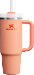 STANLEY Quencher H2.0 Tumbler with Handle and Straw 30 oz | Flowstate 3-Position Lid | Cup Holder Compatible for Travel | Insulated Stainless Steel Cup | BPA-Free | Nectarine