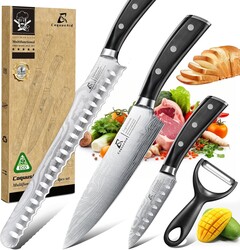 CoquusAid Kitchen Knives Set, 4 PCS Professional Chef Knife Set, Razor Sharp High Carbon Stainless Steel Knife Set, Ergonomic Handle Design, Ideal for Everyday Home Use, Perfect Gifts for Kitchen
