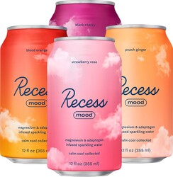 Recess Mood Magnesium Supplement Drink Calming Beverage, 12 Ounce (Variety Pack, 12 Pack) *Original Flavors*