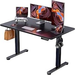 ErGear Height Adjustable Electric Standing Desk, 48 x 24 Inches Sit Stand up Desk, Memory Computer Home Office Desk, Black