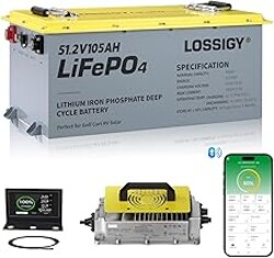 48V Lithium Golf Cart Battery, LiFePO4 Battery with 200A BMS, Peak Current 1000A(3-5S), Includes 18A Charger, Bluetooth APP & Touch Monitor, Perfect for Golf Carts, RV(105Ah)