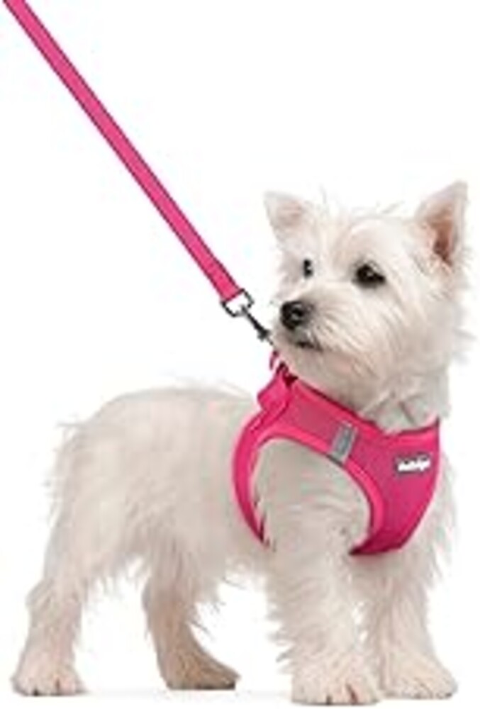 rabbitgoo Dog Harness Small Sized and Leash Set, Step in Soft Light Puppy Vest, Breathable Mesh Pet Harness, Reflective for Safe Easy Walking, Rose Red S