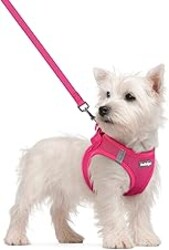 rabbitgoo Dog Harness Small Sized and Leash Set, Step in Soft Light Puppy Vest, Breathable Mesh Pet Harness, Reflective for Safe Easy Walking, Rose Red S