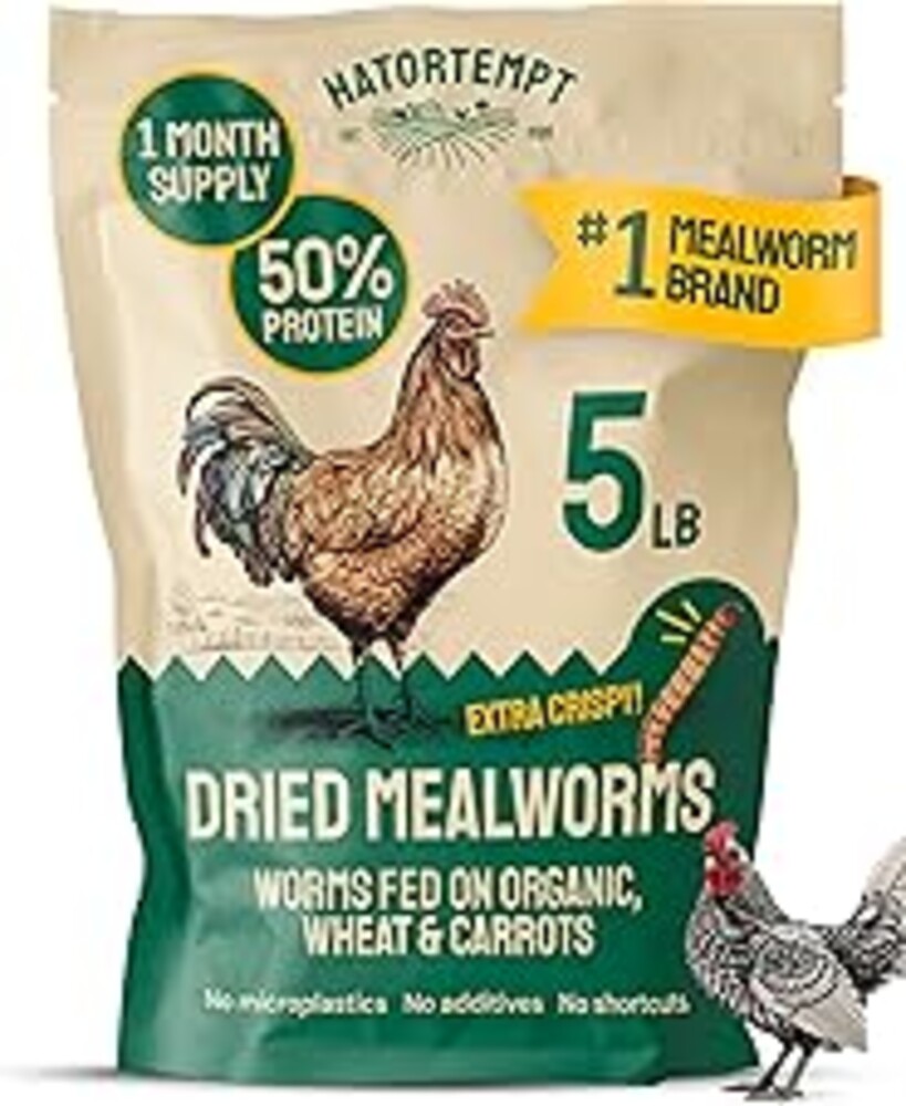 Hatortempt Dried Mealworms - Non-GMO & Organic - High-Protein Mealworms for Wild Bird Food, Ducks & Chickens (5lb)