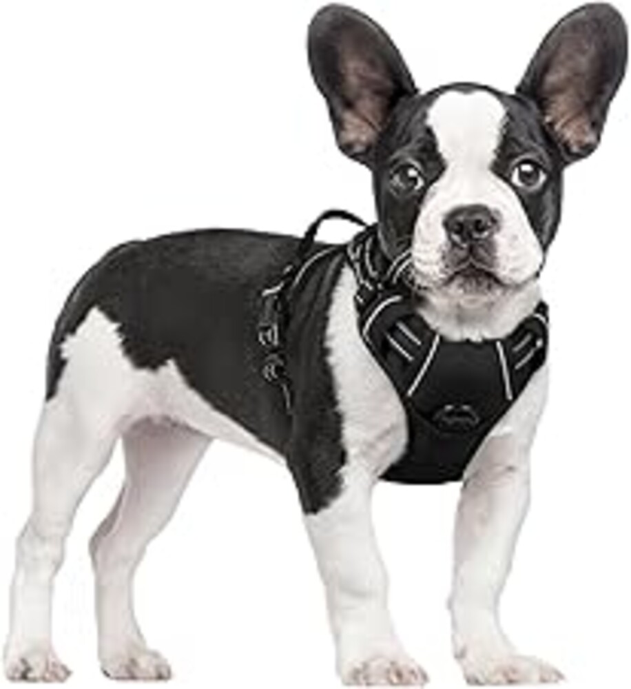 rabbitgoo Dog Harness No Pull with 2 Leash Clips, Adjustable Soft Padded, Reflective Oxford No Choke Pet Vest with Easy Control Handle for Small Dogs, Black, S